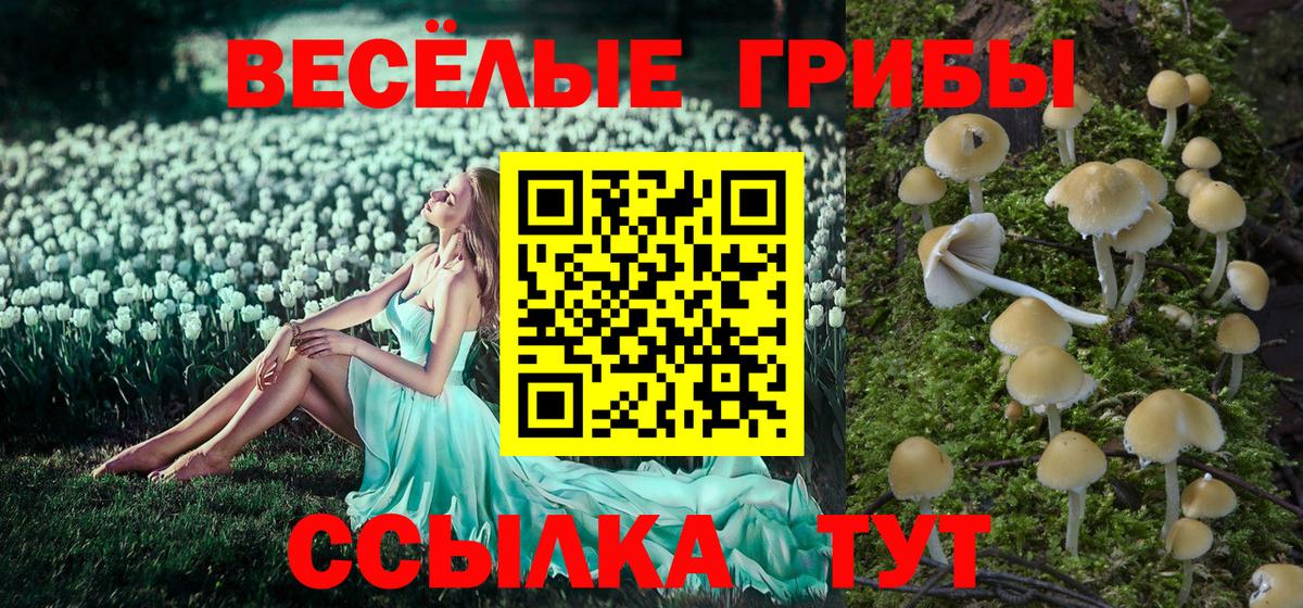 где продают   Вход с VPN  Новоалександровск  Псилоцибиновые грибы Cubensis 