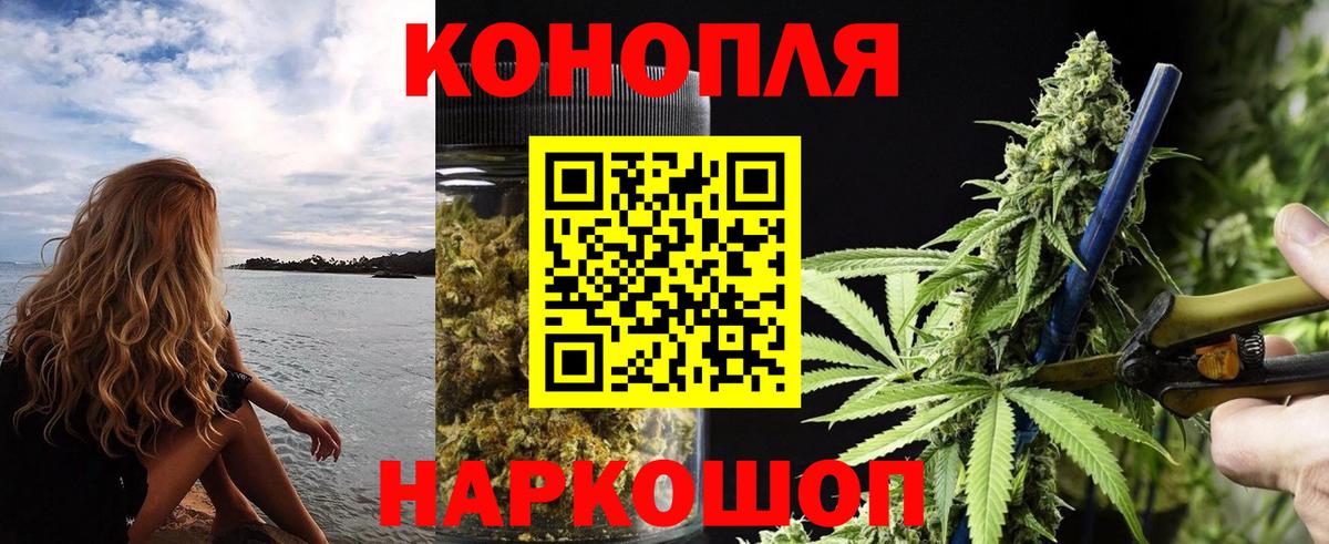 Бошки Шишки сатива  МАРИХУАНА SATIVA & INDICA  Вход с VPN  Новоалександровск  Шишки марихуана Ganja 